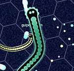 Gulper.io