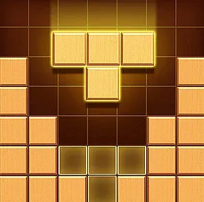 Puzzle Wood Block