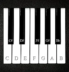 Play Virtual Piano